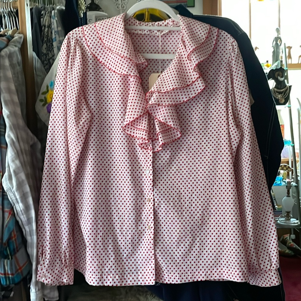 Red polka dot vintage blouse